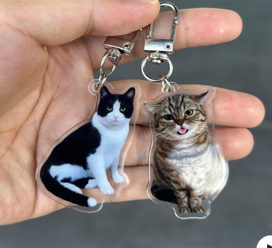 Customized acrylic pendants for pets