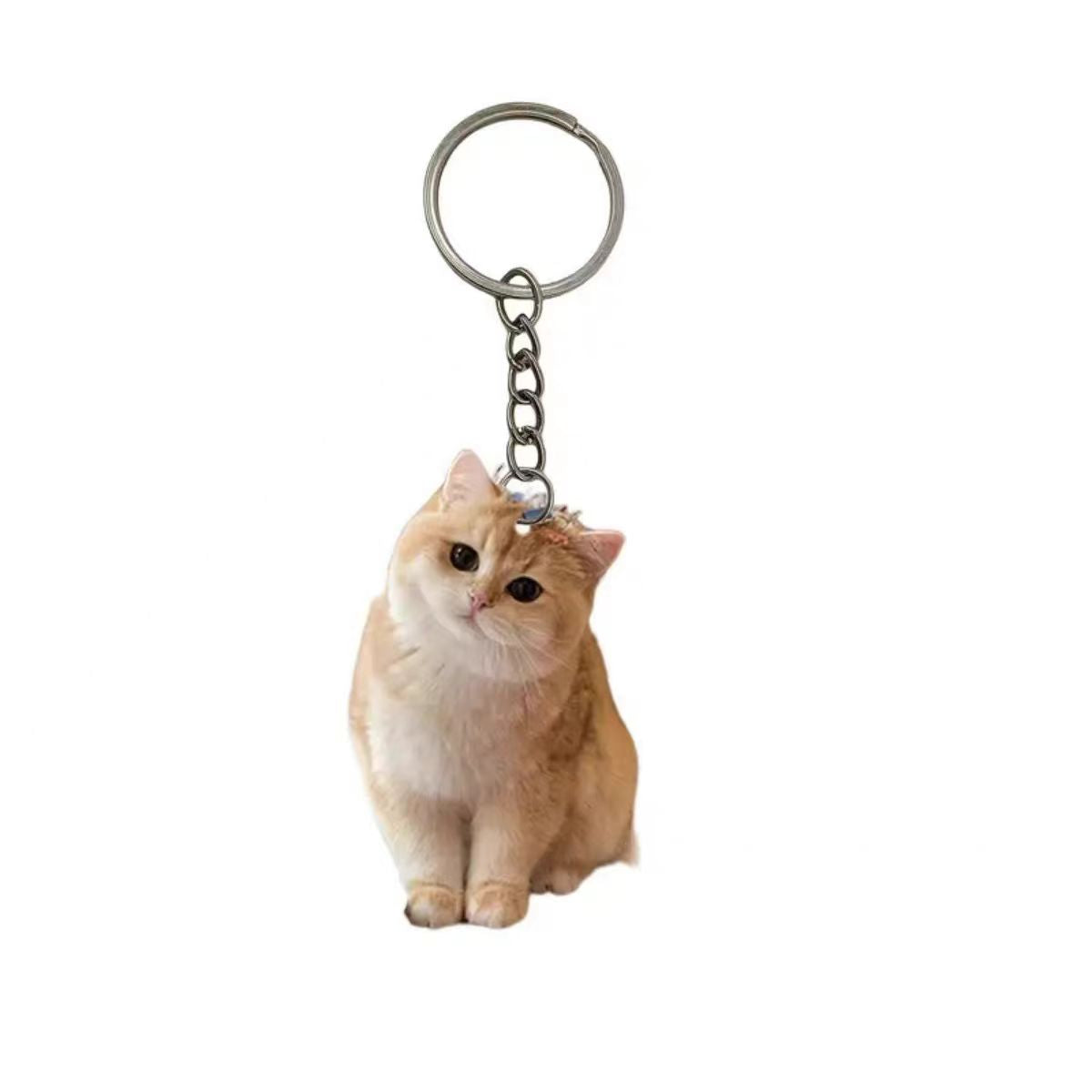 Customized acrylic pendants for pets