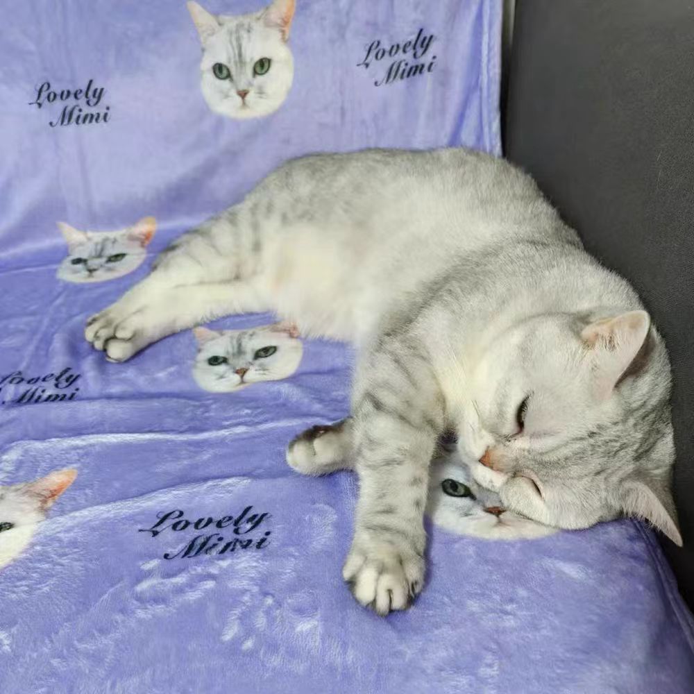 Customized pet blanket