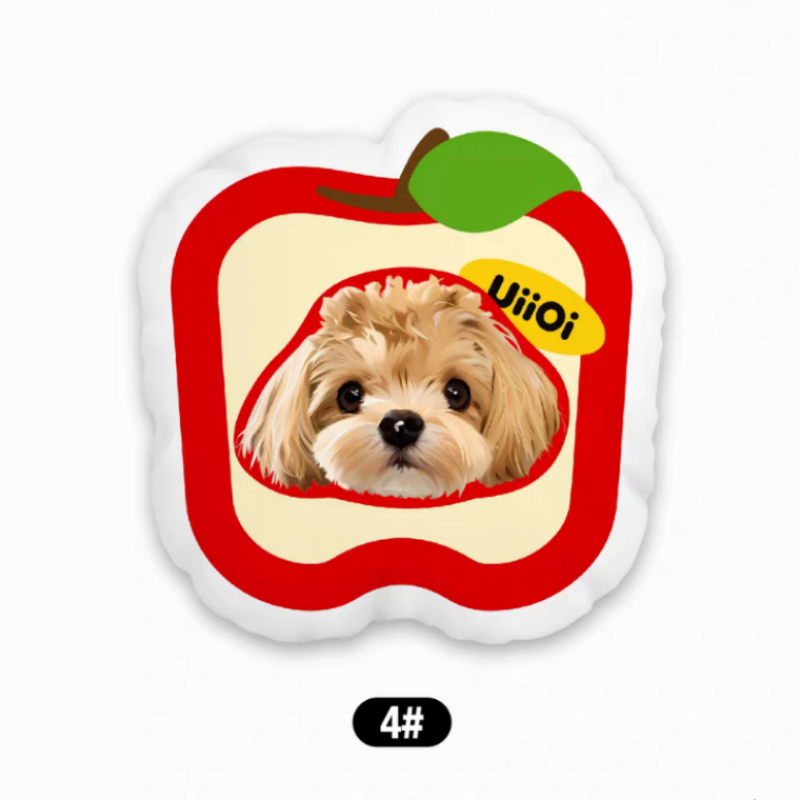 Customized pet throw pillows