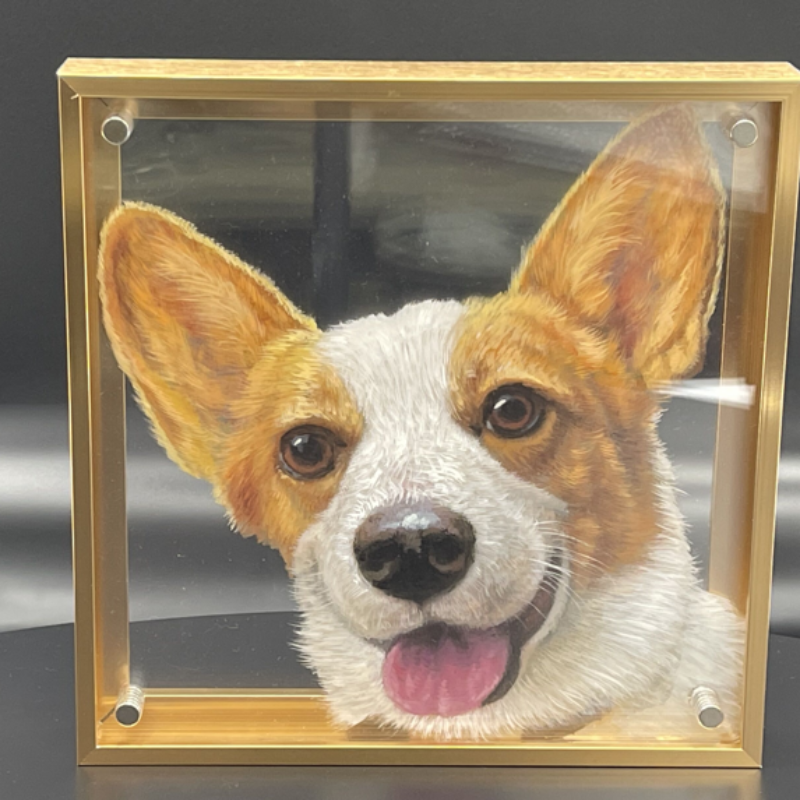 Pet Three-Dimensional Painting