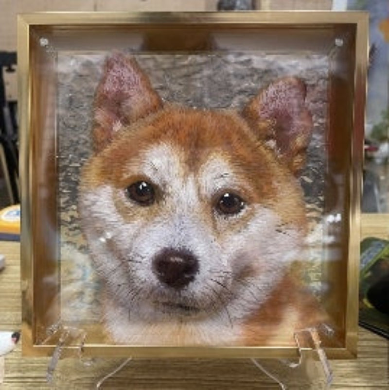Pet Three-Dimensional Painting