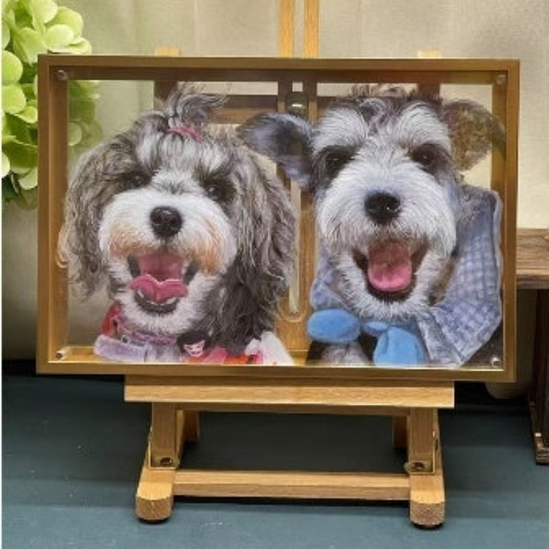 Pet Three-Dimensional Painting