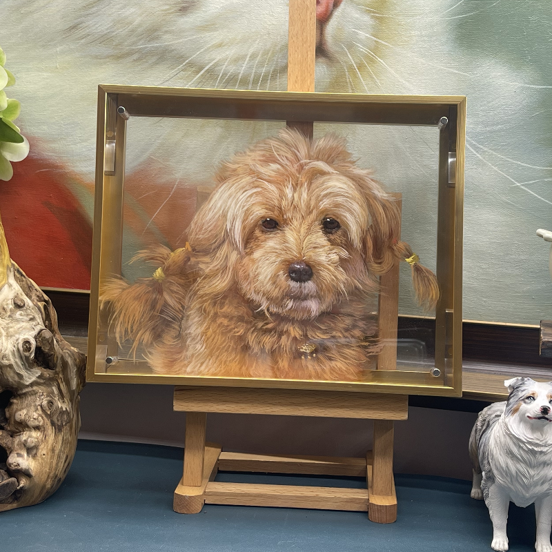 Pet Three-Dimensional Painting
