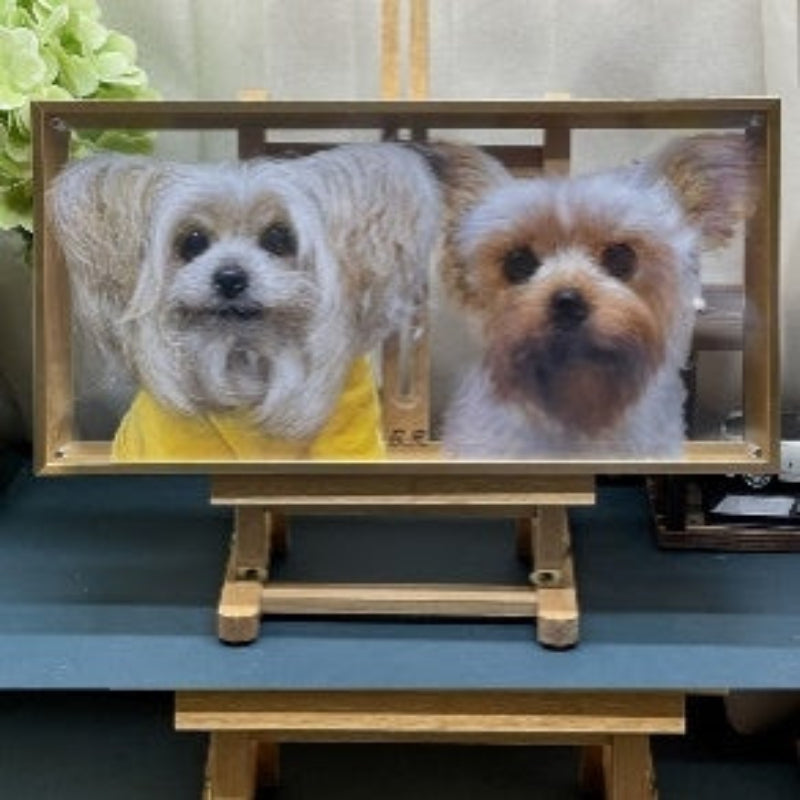 Pet Three-Dimensional Painting