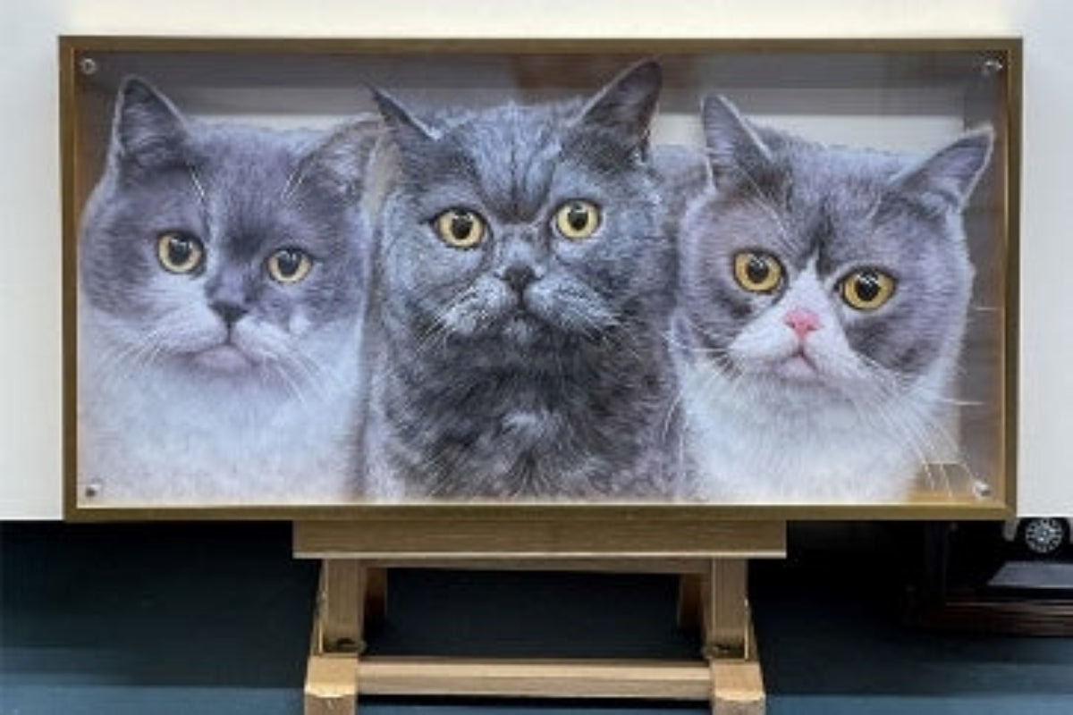 Pet Three-Dimensional Painting