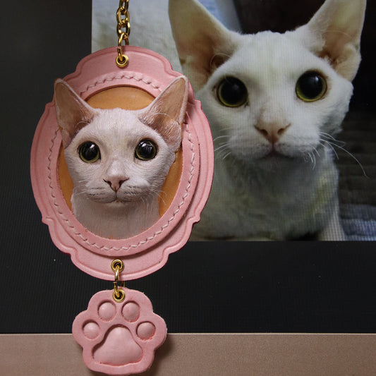 Lace pet leather products