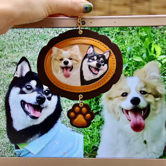 Double-pet pet leather products