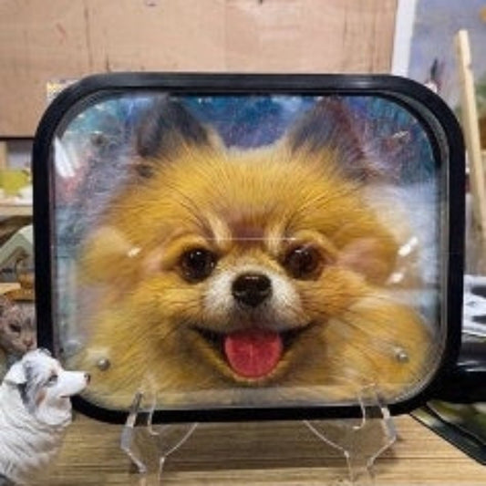 Pet Three-Dimensional Painting